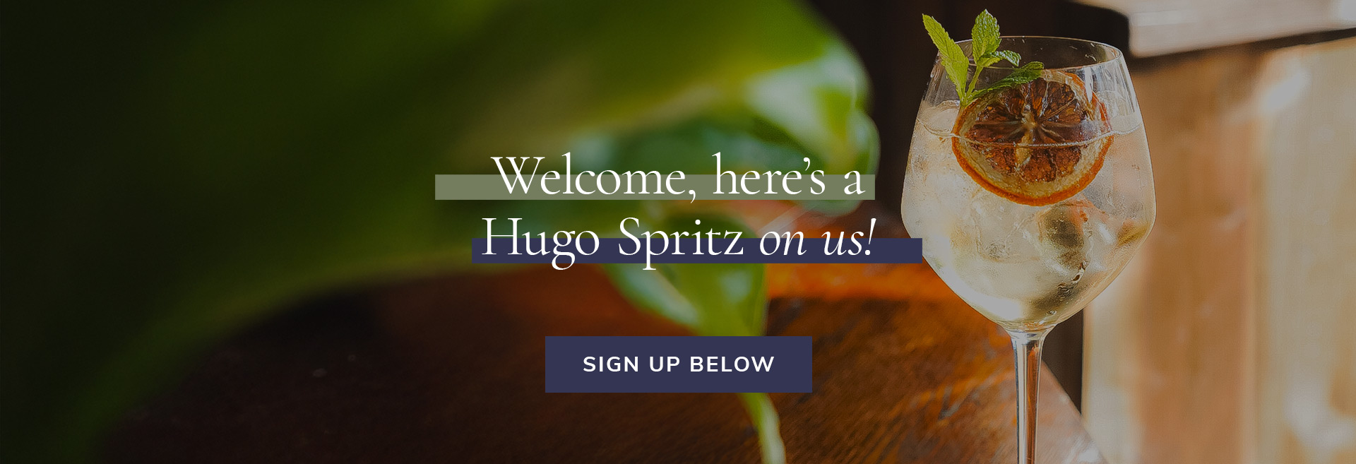 Sign up to the newsletter at The Princess Of Wales